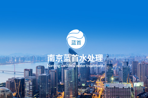 萧县建站-南京蓝首水处理设备有限公司